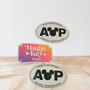 Disney Magnet bundle